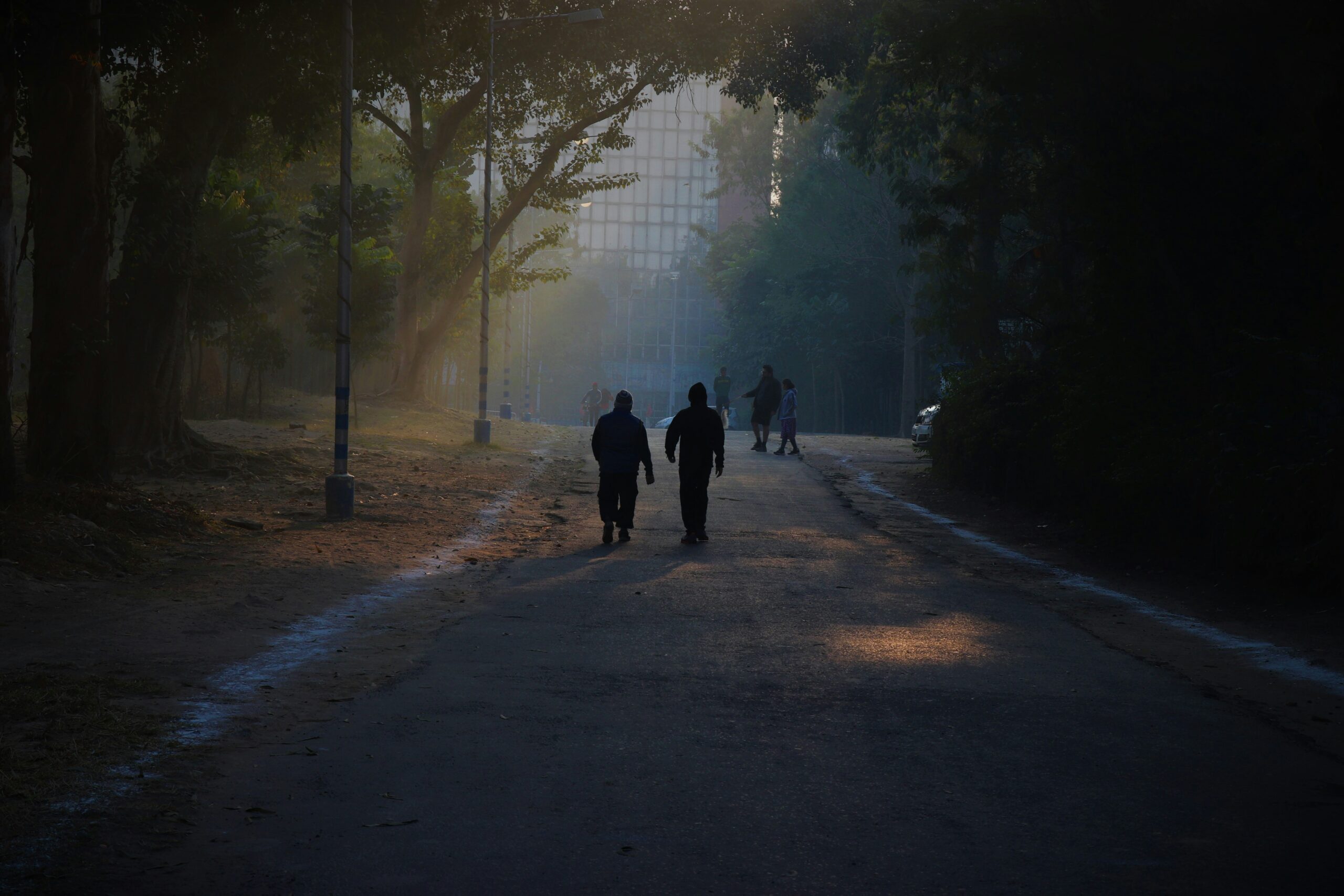 Two people walking down a park path covered with trees. One supporting the other with thoughts of suicide.