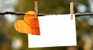 Image of a heart-shaped autumn leaf with blank card for gratitude.