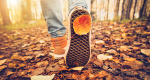 Person walking through grief on a trail in Colorado. Feet sneakers walking on fall leaves Outdoor with Autumn season nature on background