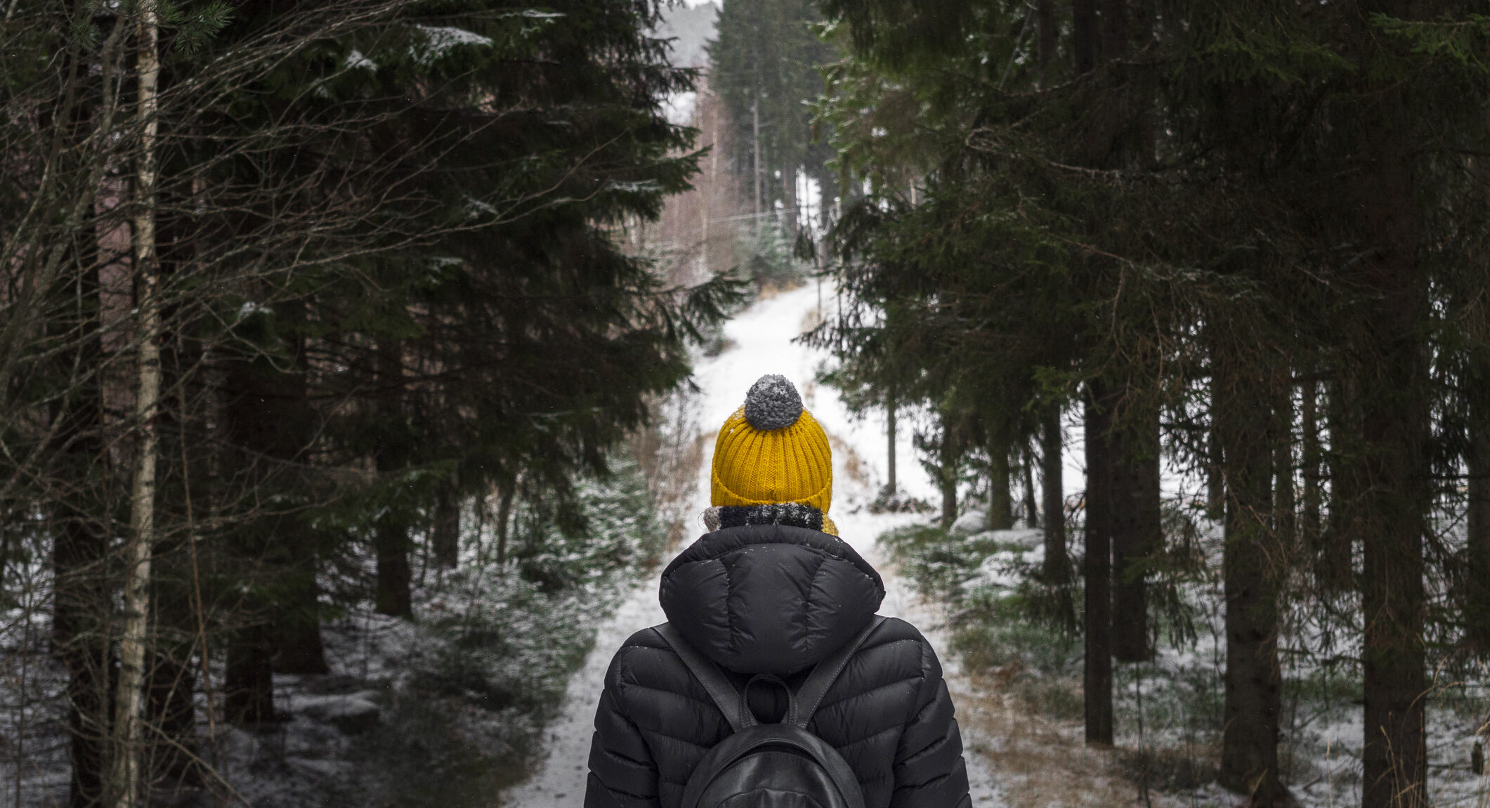 Person grieving on a walk. alone person in black down jacket and yellow knitted hat with rucksack in the depth of the black forest during cold winter day Colorado