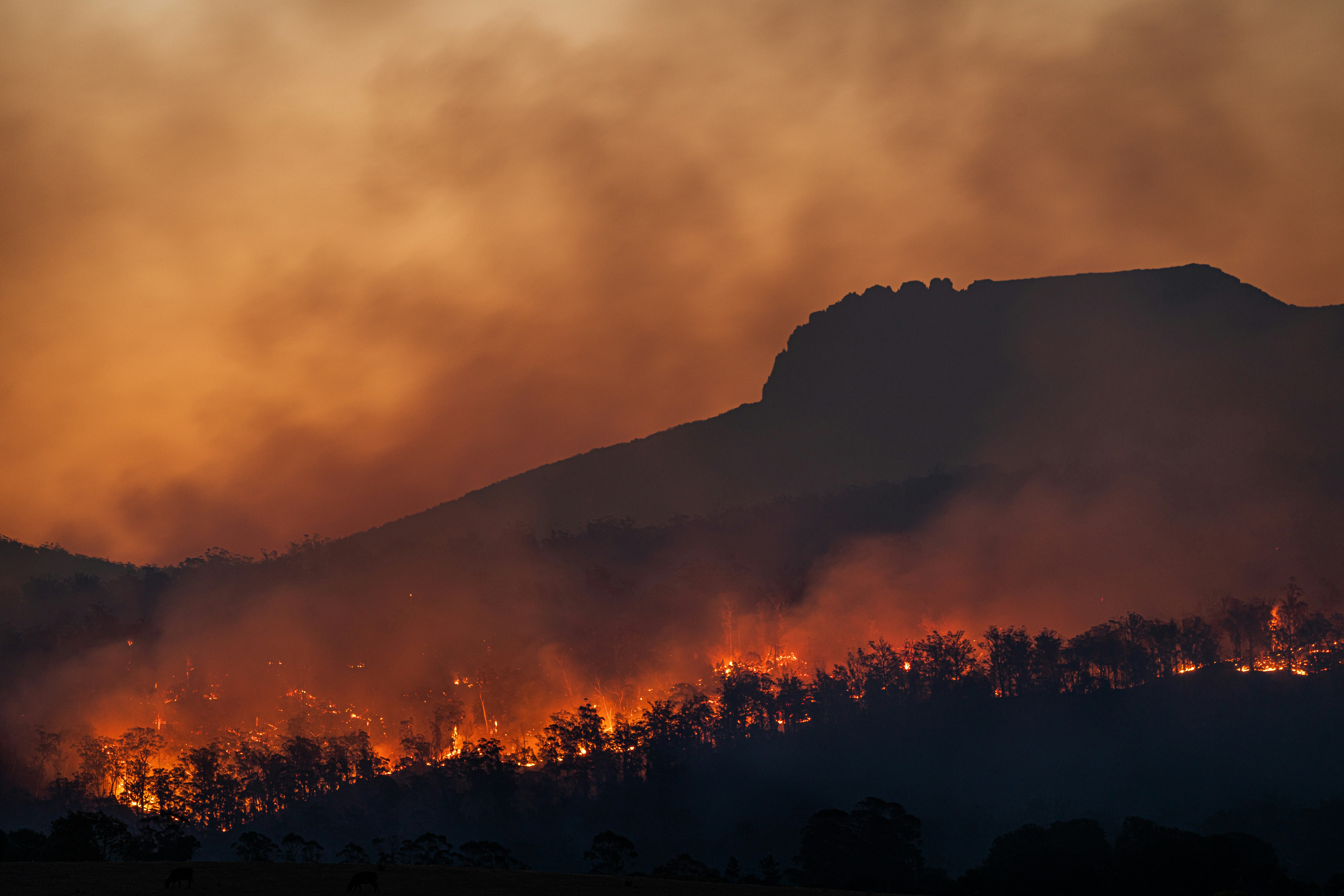 Image of a wildfire in Colorado representing the trauma of natural disasters