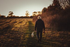 Man with white hair walking dog in a field at sunset. 